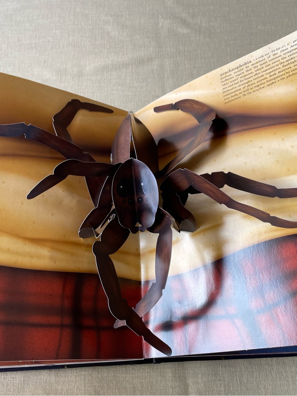 “ The Pop-up Book of Phobias” Gary Greenberg Pop-up Intricate Common Fears 1999